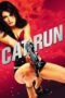 Cat Run (2011) - UiiU Movies