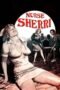 Nurse Sherri (1978) Nurse Sherri (1978)