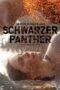 Black Panther (2013) Black Panther (2013)