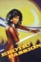 Erotic Passion (1981) Erotic Passion (1981)