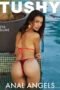 Anal Angels Vol. 11 (2025)
