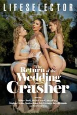 The Return of the Wedding Crasher (2026)